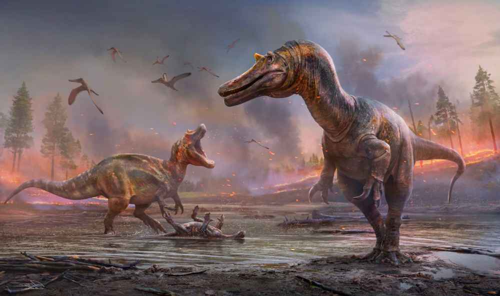 Svelare i misteri dei dinosauri Tutta Pubblicità